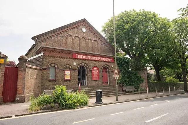 Booth Museum of Natural History