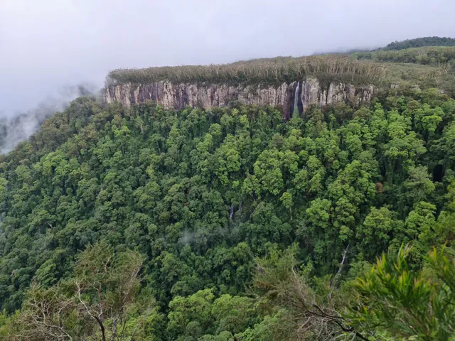 Springbrook National Park Canyon Lookout