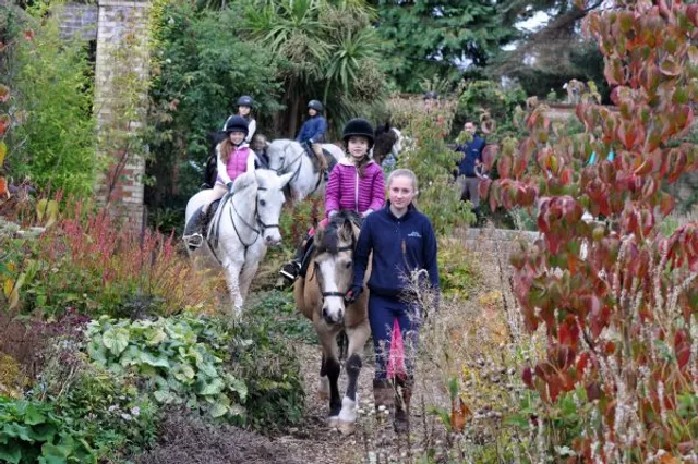 Festina Lente Enterprises CLG