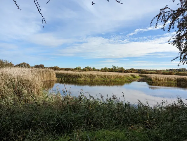 Far Ings National Nature Reserve