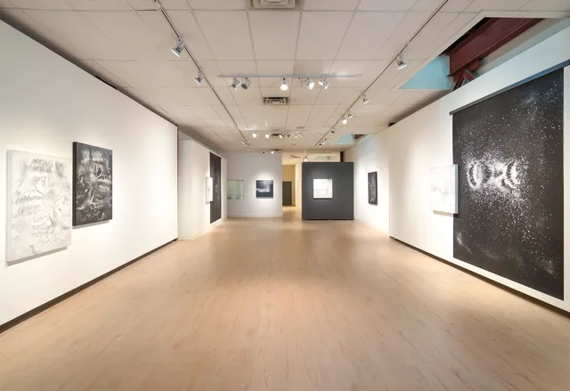 Richard Levy Gallery