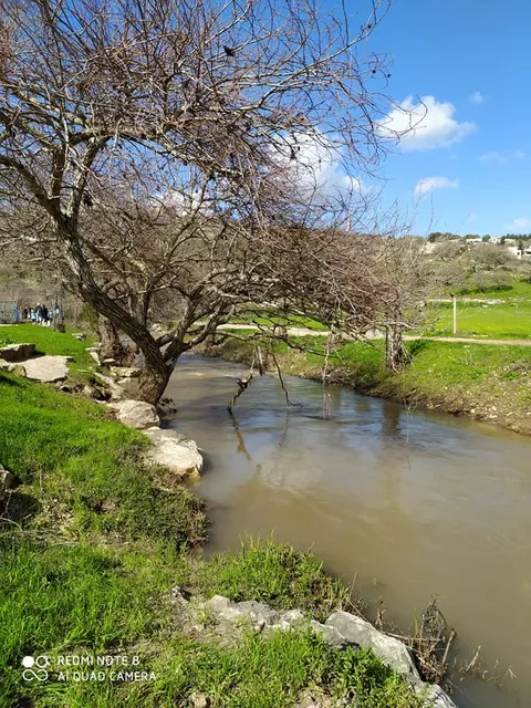 Kaabiya Tabash Hajajira