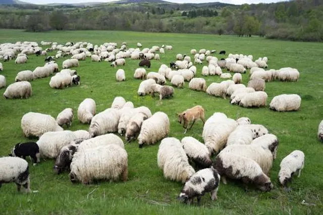 Carbondale Nature Park