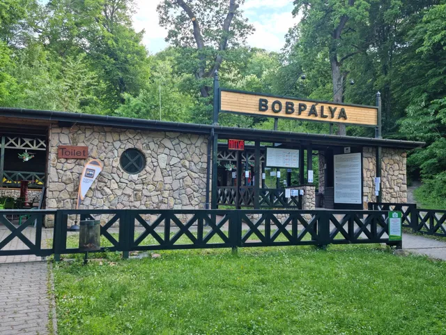photo-1