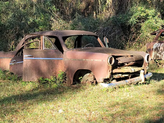 Roadside Rusted Ford Trucks