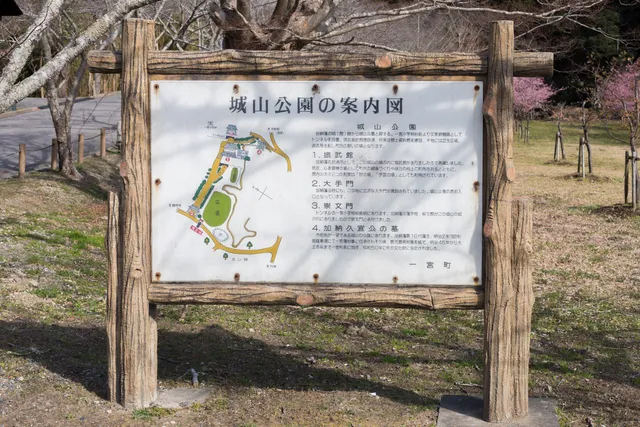 photo-1