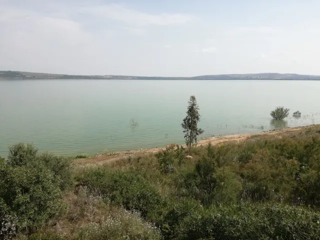 photo-2
