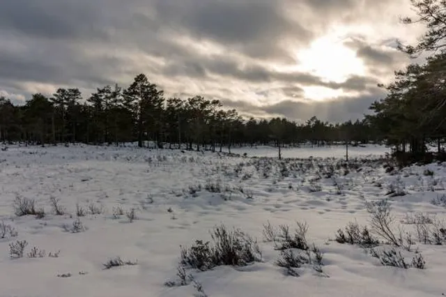 Pinehurst Lake Conservation Area