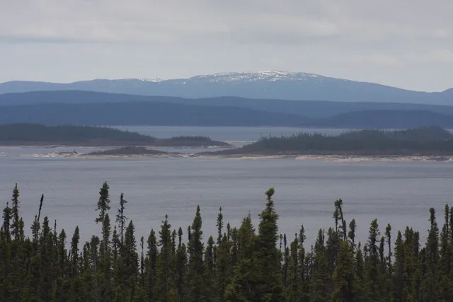 Louis-Babel Ecological Reserve