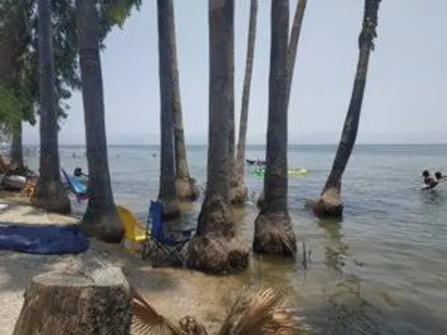 place image