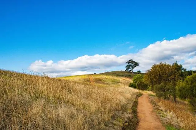 Mount Osmond Reserve
