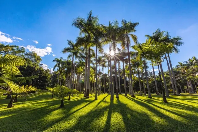 Xishuangbanna Tropical Botanical Garden （North Gate）