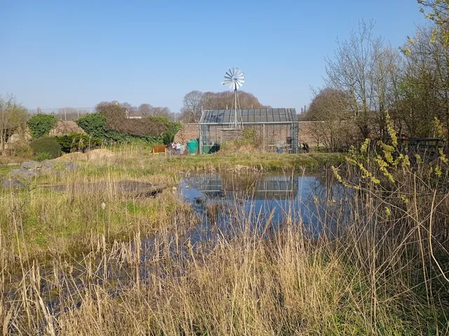 Le Jardin de Chlorophylle