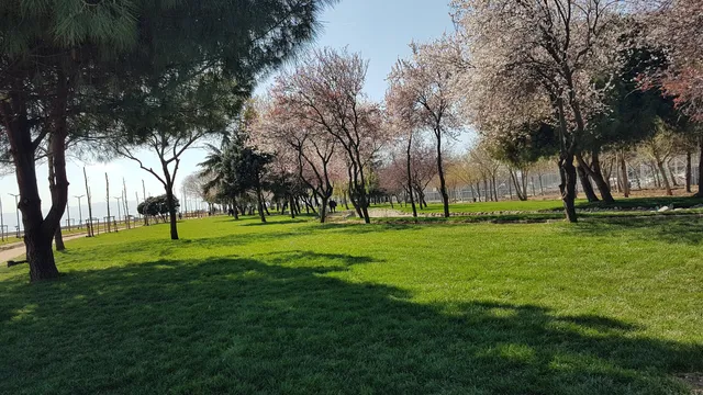 Tuzla Sahil Parkı
