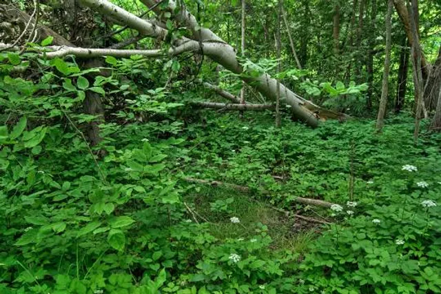 photo-1
