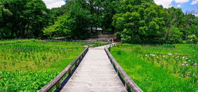 Jindai Botanical Gardens