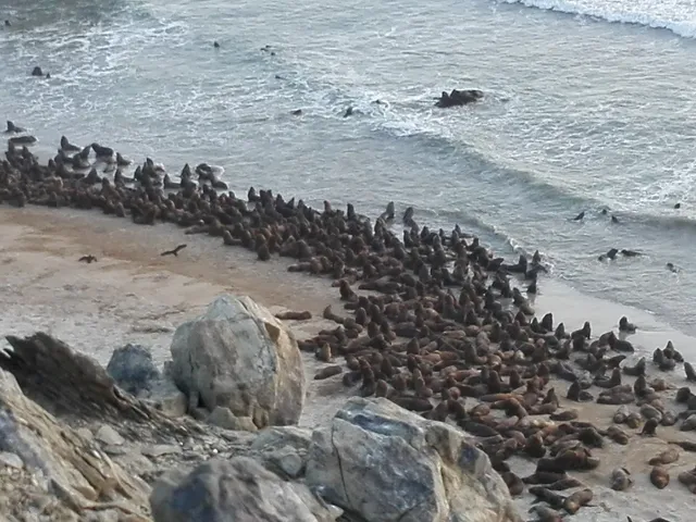 Zona Reservada Illescas