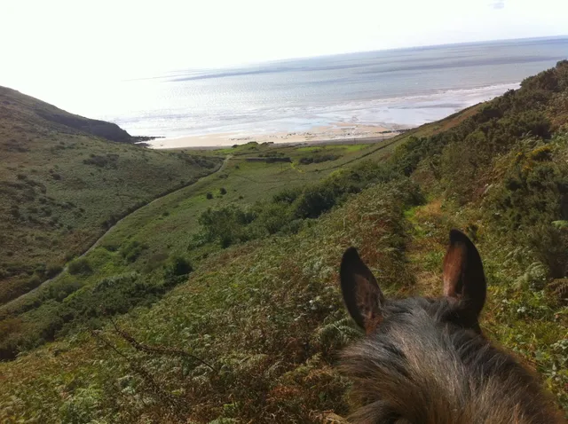 Marros Riding Centre