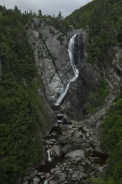 Steady Brook Falls Trail