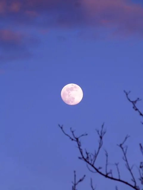 Drayton Plains Nature Center