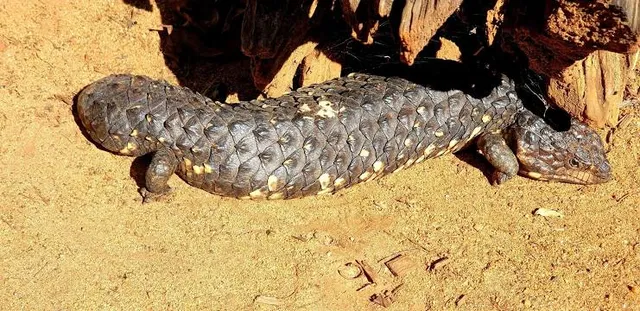 Zoologischer Garten Hof