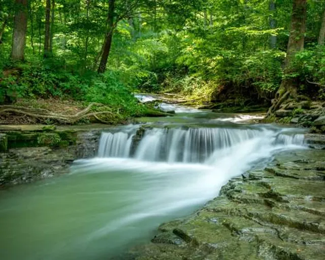 Saunders Springs Nature Preserve