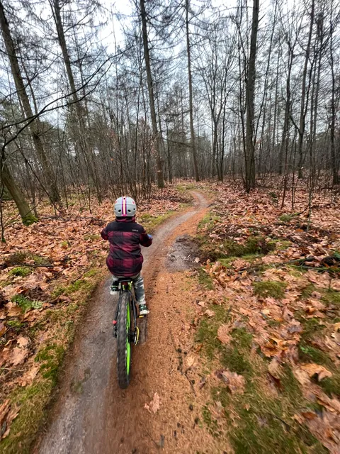 Mountainbike route horst