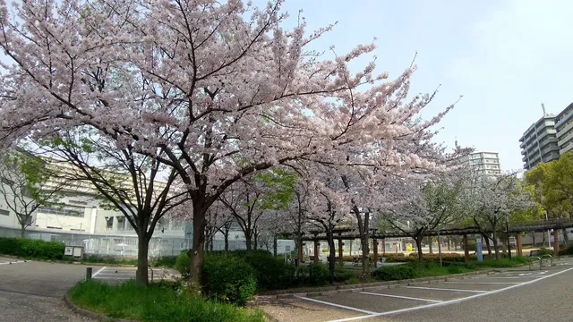 Shimo-Fukushima Athletic Field