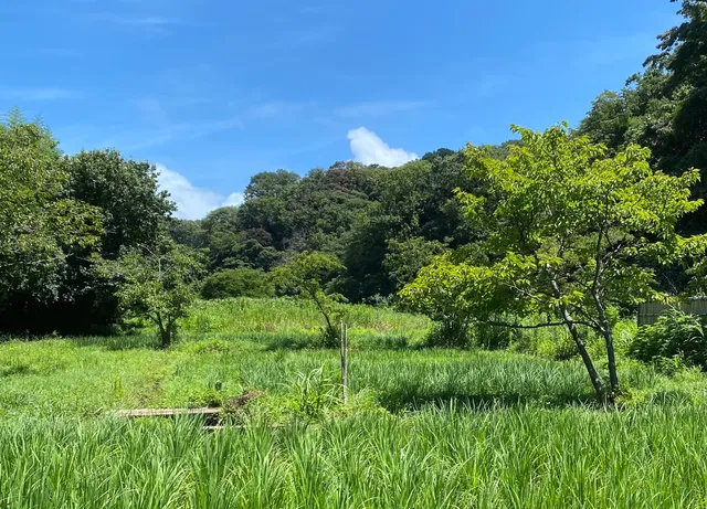 Kamakurahiromachi Ryokuchi Park