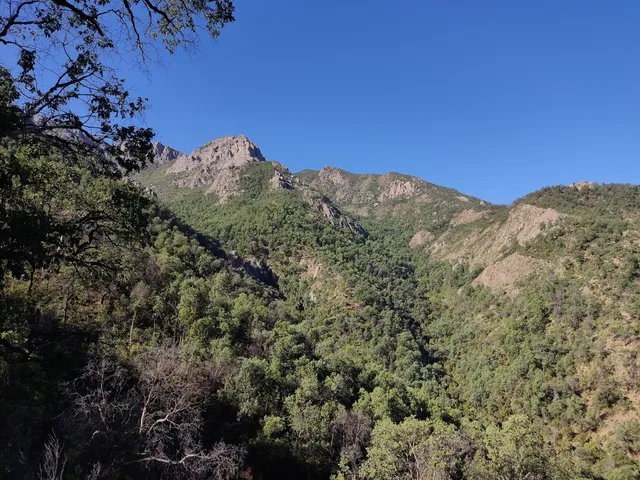 Santuario de la Naturaleza Cerro Poqui