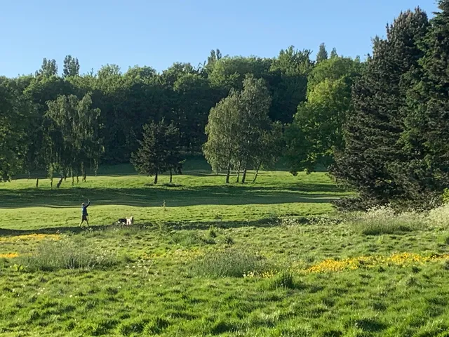 Newbold Comyn Skate Park