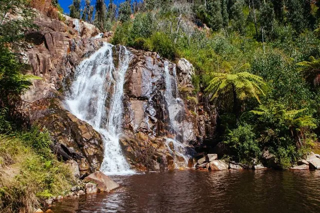 Steavenson Falls