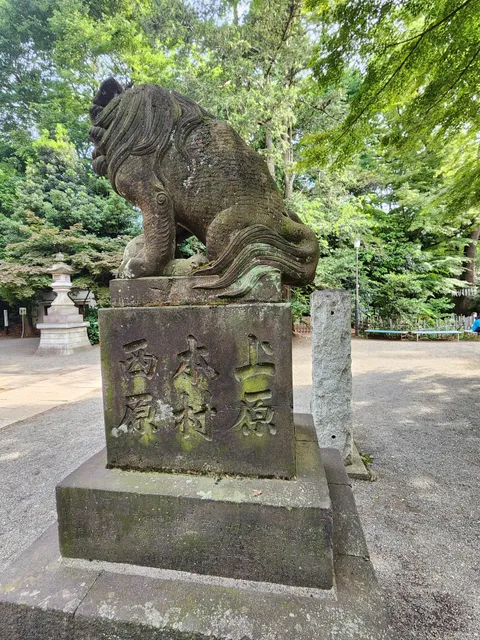 photo-1