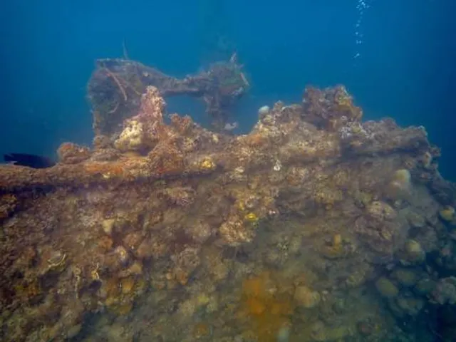 Air Raid Trampoline Park