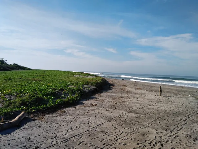 La Bocana De San Diego