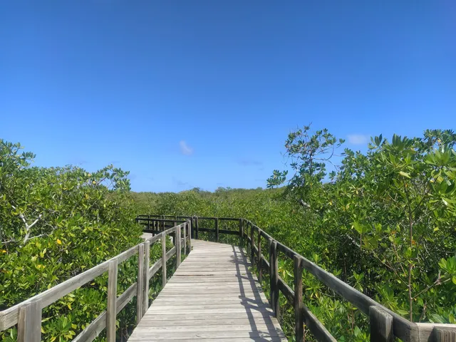 Parque Nacional Manglares de Old Point