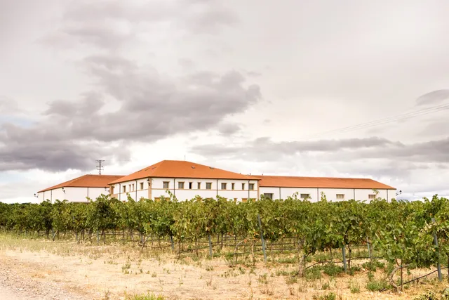 Bodegas Escudero-Vinsacro