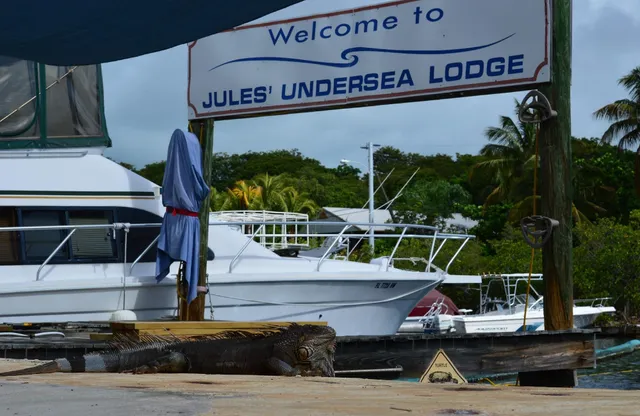 Jules' Undersea Lab
