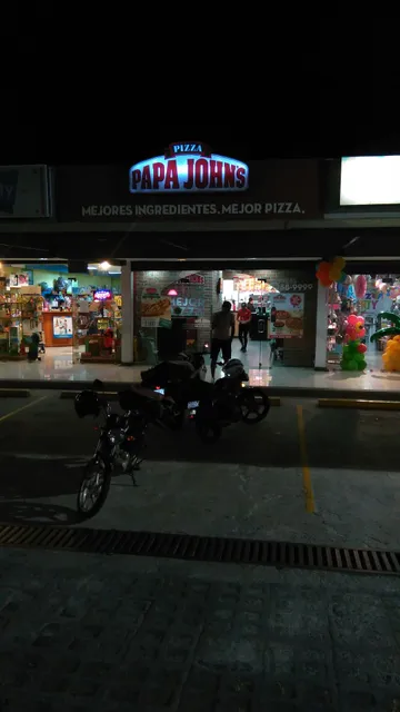 Papa Johns Pizza
