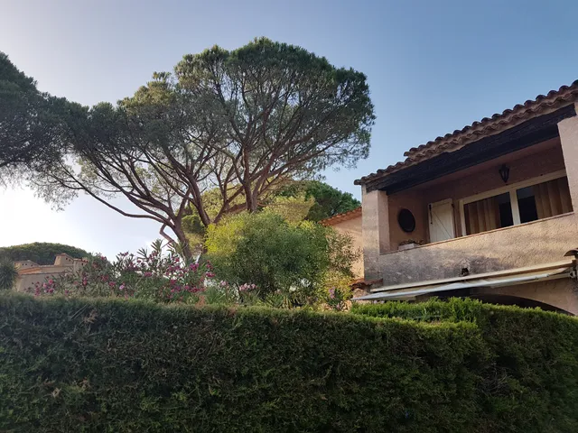 MOURRE GIGARODIRECT, 37 les Oliviers