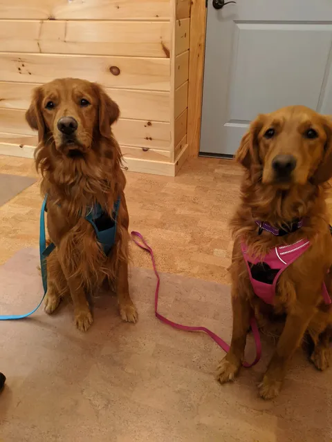 River Stone Wellness Center