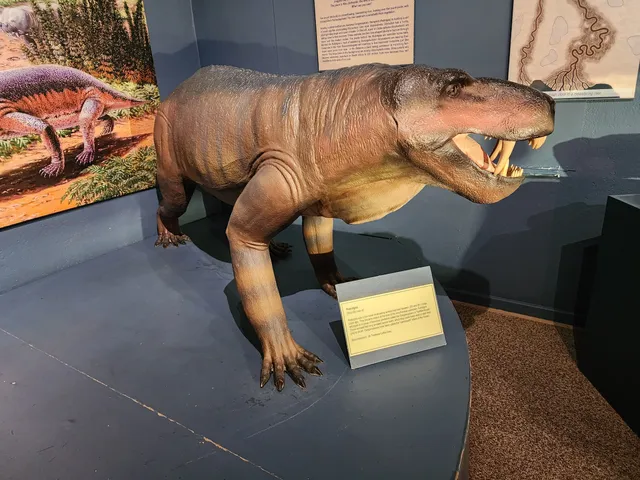 Kitching Fossil Exploration Centre