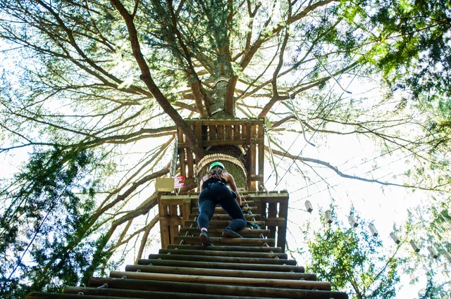 Adventure Park in Val di Vara
