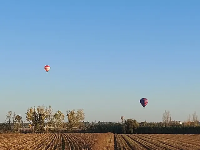 Festival - Balonismo