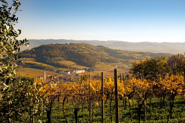 Azienda Agricola Cavazza
