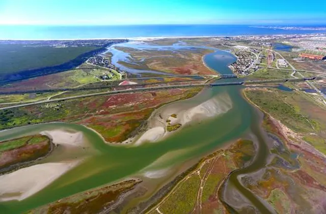 Nelson Mandela Bay Ward 53