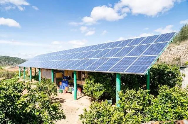 Seokmodo Natural Forest