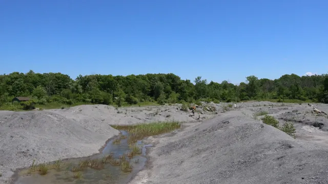 Penn Dixie Fossil Park & Nature Reserve