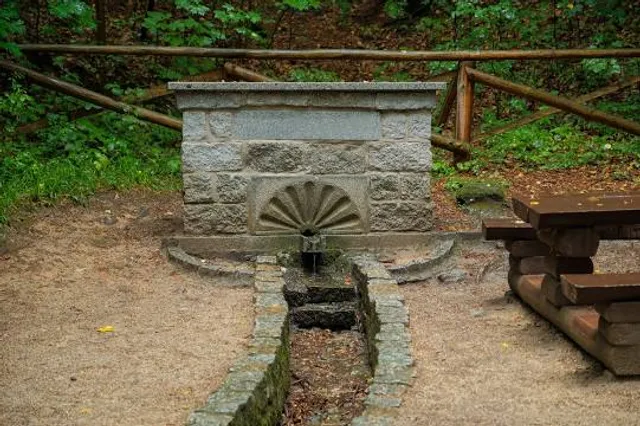 Źródełko Kunegundy