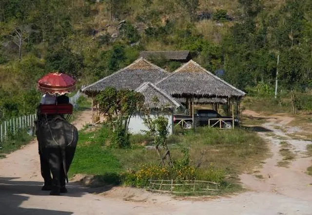 Elephant Junction Thekkady